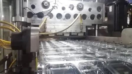 Confezione a conchiglia monouso per animali domestici a forma di fragola, scatola di plastica trasparente per frutta